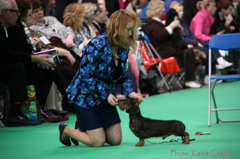 Crufts2011_2 949.jpg